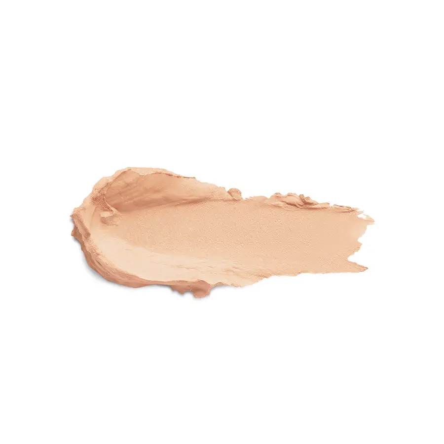 New Universal Stick Concealer