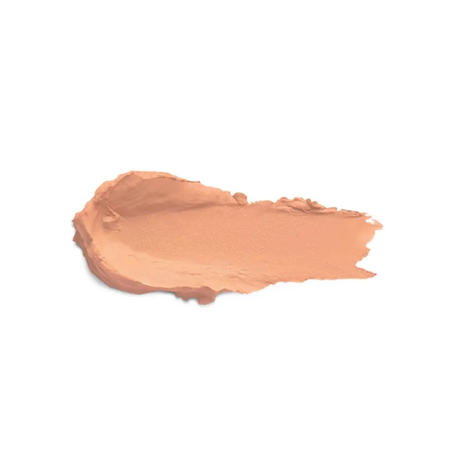 New Universal Stick Concealer